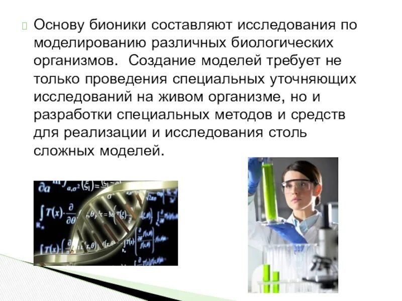 Основу бионики составляют исследования по моделированию различных. Основы бионики. Моделирование живых организмов Бионика. Основные направления бионики. Создание бионики