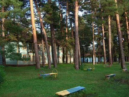 Лагерь дружный ленинградская область