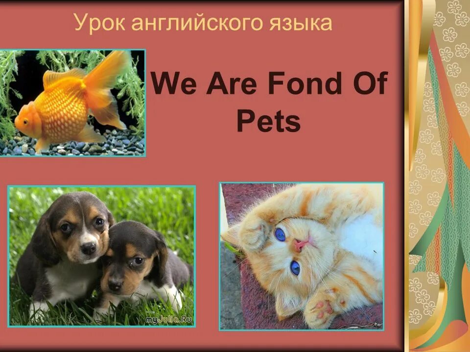 Тема my Pet. Проект my Pet. Английский язык my Pet. Проект по английскому мой питомец. Pet 2 английский