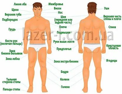 Зоны мужской эпиляции
