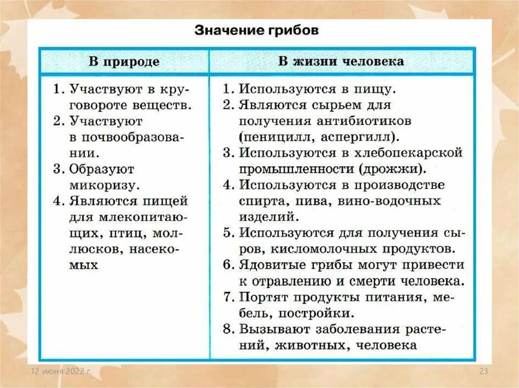 Значение грибов в природе 7 класс биология