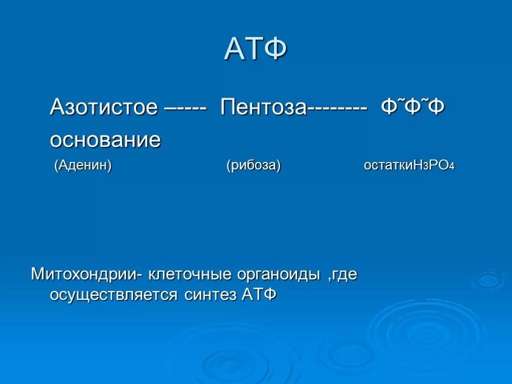 Азотистое основание атф. Молекула АТФ азотистое основание. Молекула аттазотистое основание. АТФ азотистое основание рибоза.