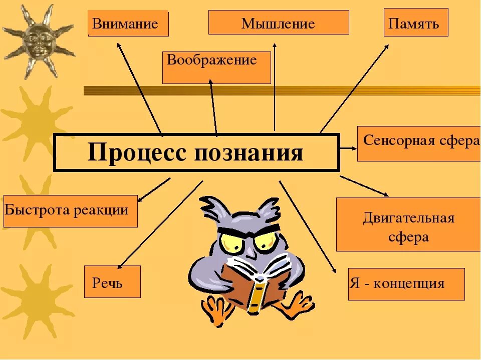 Внимание воображение. Память внимание мышление речь. Память внимание воображение. Память внимание мышление воображение. Мышление речь воображение.