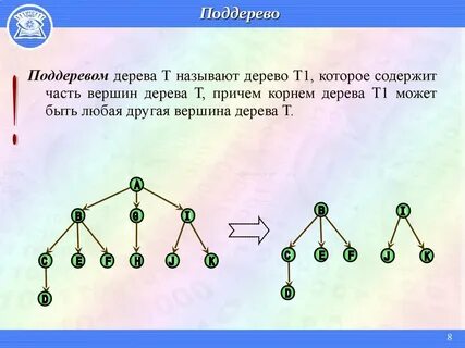 Сколько существует различных деревьев из 6 вершин