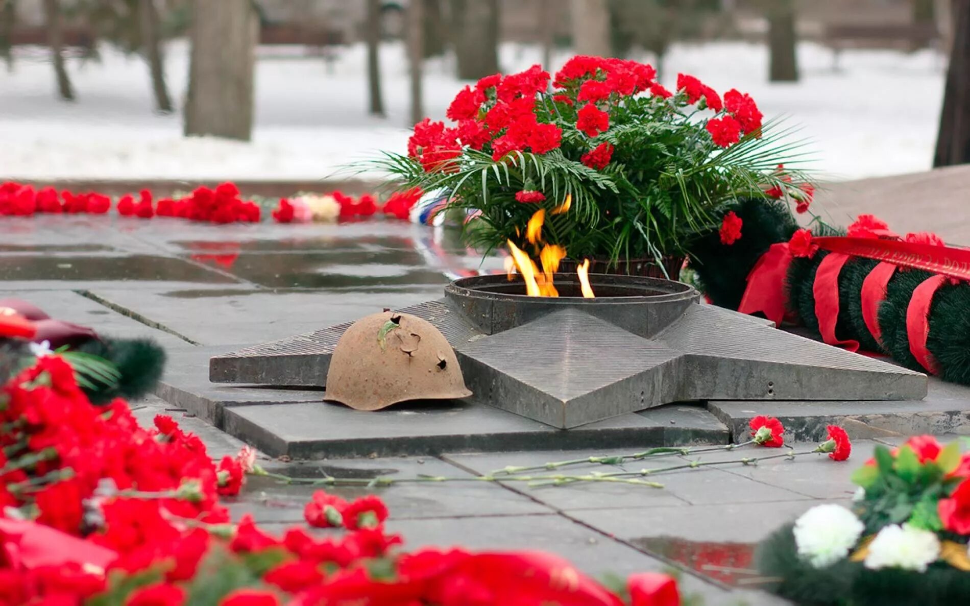 приуроченных дню победы. 9 мая цветы. открытка "с днём победы". вечный огонь могилы красноярск. цветок день победы.