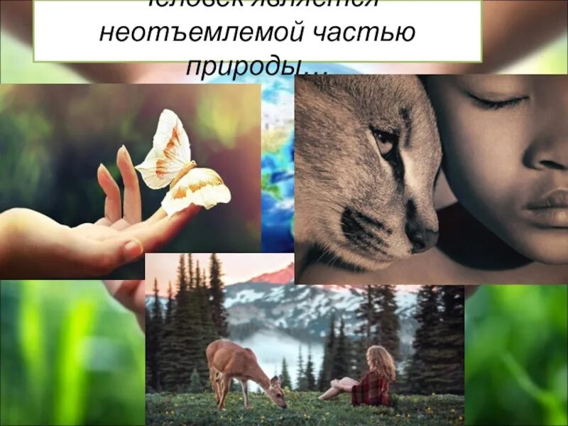 Как человек вредит экологии. Проблема человека и природы. Слайд связанный с природой. Место человека в природе. Связь человека с природой для презентации.