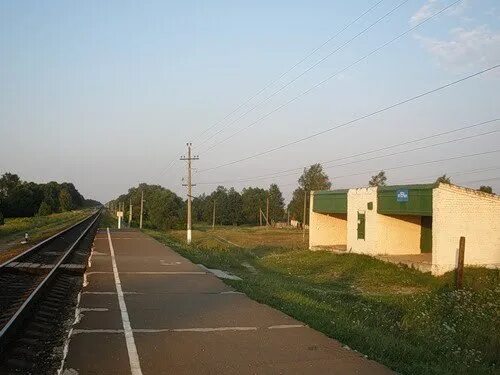 Село Коржовка Голубовка Клинцовского района Брянской области. Коржовка Голубовка школа. Коржовка Клинцы. Город Клинцы Брянская область школа в Коржовка Голубовка. Погода в коржовке голубовке