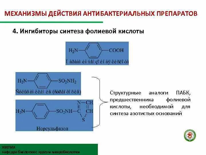 Парааминобензойная кислота Синтез фолиевой кислоты. Синтез фолиевой кислоты схема. Подавление синтеза фолиевой кислоты антибиотики. Механизм действия антагонистов фолиевой кислоты схема.