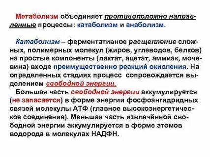 Быстрый метаболизм это