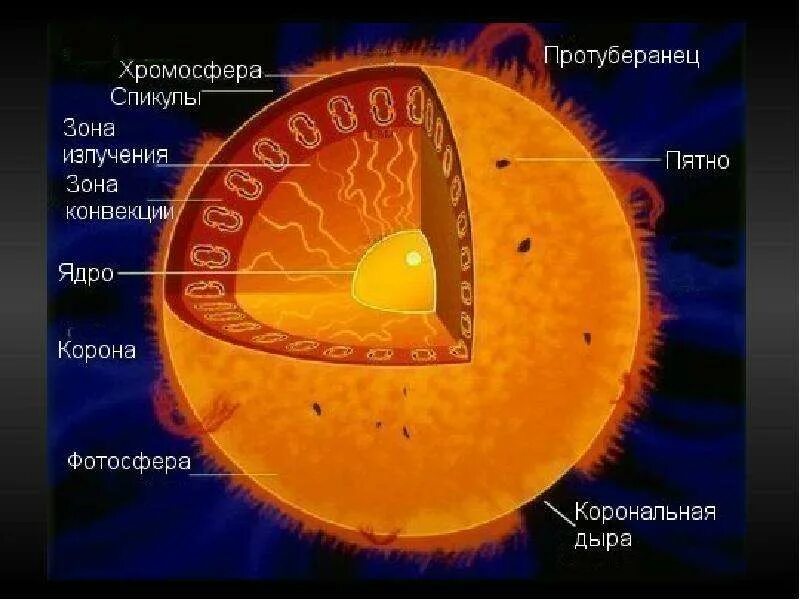 Строение звезды солнца. Внутренне строение солнца ядро. Внутреннее строение солнца схема. Внутреннее строение солнца слои. Строение солнца внутреннее и внешнее.