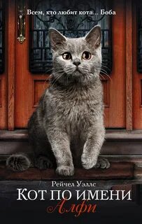 Включи кот по имени