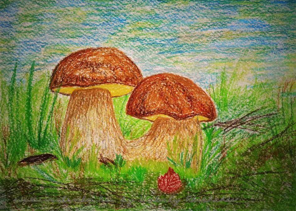 2 класс рисуем карандашами. Гриб рисунок. грибы цветными карандашами. рисование грибы. рисование с детьми грибы.