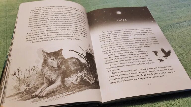 Волк по имени Зайка. Живая классика рассказ волки. Отзыв по рассказу волки. Кто написал книгу последние олени анд.