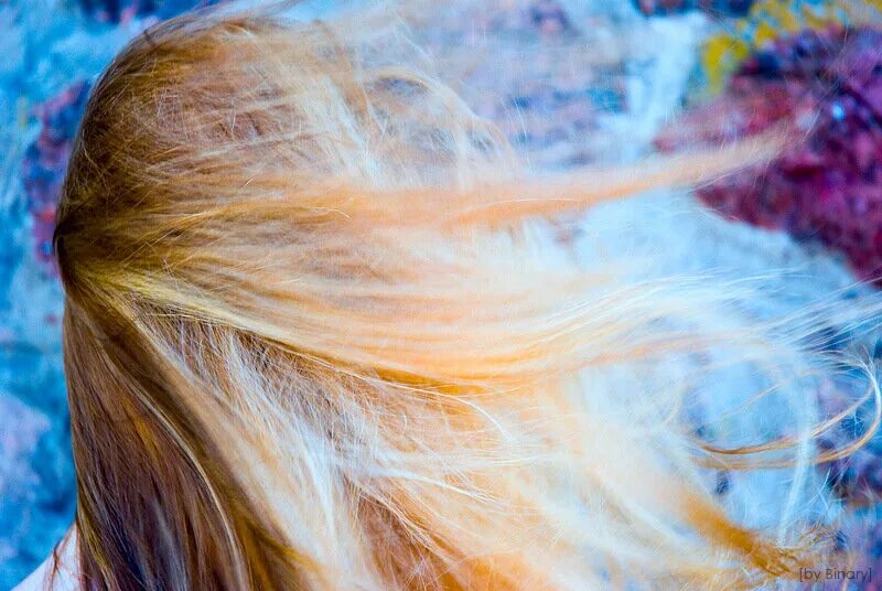 Волосы на ветру. Девушка волосы на ветру. Длинные волосы на ветру. Блондинка волосы на ветру.