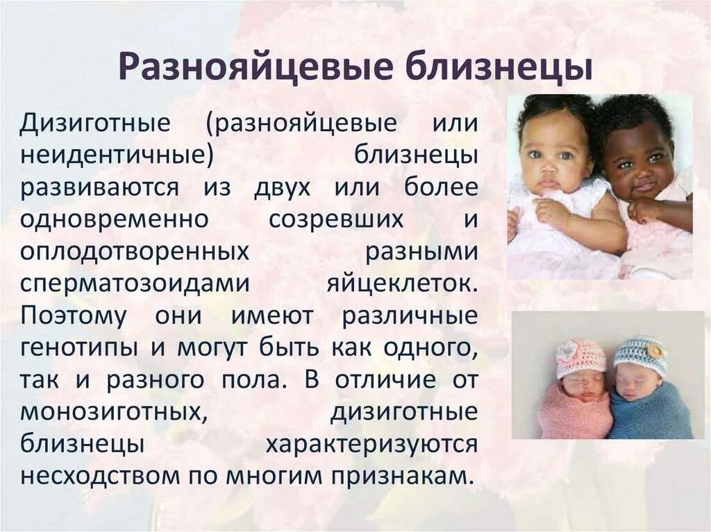 Близнецы разница. Близнецы разница