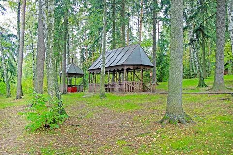 Лечищево истринский