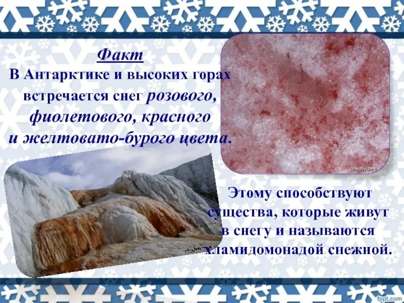 Интересные факты о произведении зима. Интересные факты о зиме 2 класс. Интересные факты о природе для детей. Каждая снежинка уникальна. Интересные факты о зиме картинка.
