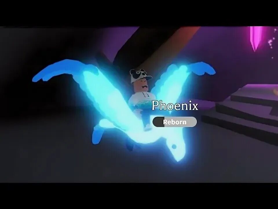 Fenix me