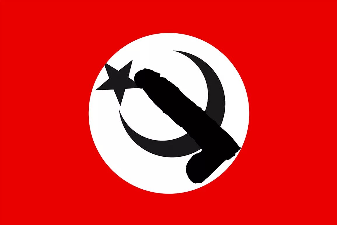 Национал большевистская партия флаг. Нбп партия флаг. Национал большевистская партия флаг. Знамя национал большевистской партии. Флаг национал большевиков.