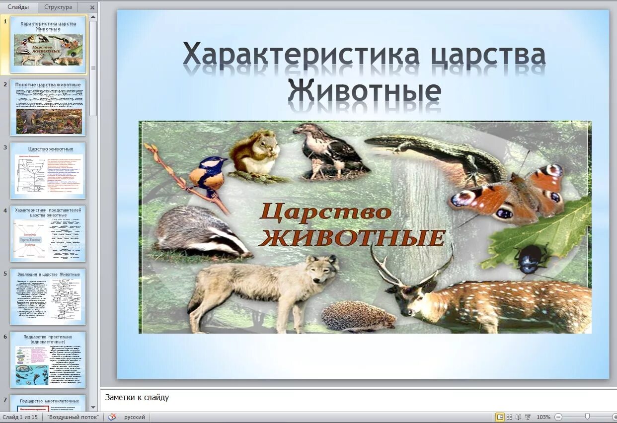 Характеристика царства животные. В царстве животных. Биология царство животных. Общая характеристика царства животные 5 класс биология. Царство животных загадочное и непредсказуемое