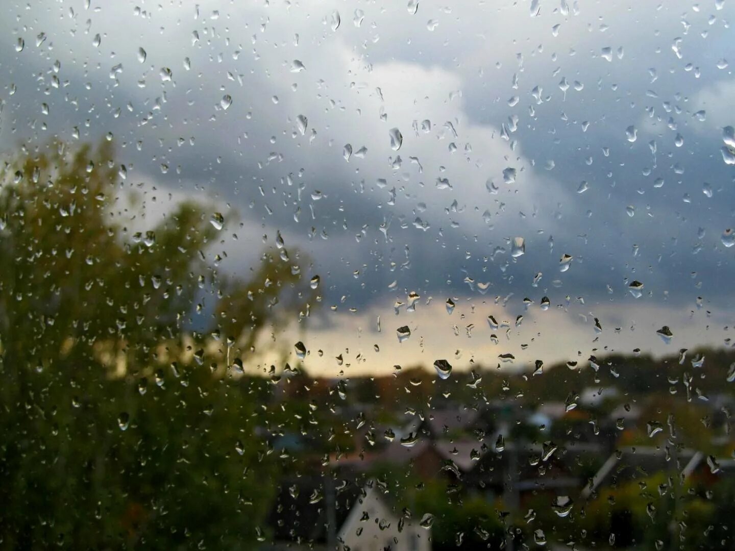 Август дождь. Дождь в поле. Картинки август природа небольшой дождь. Август дождь. Летний дождь.