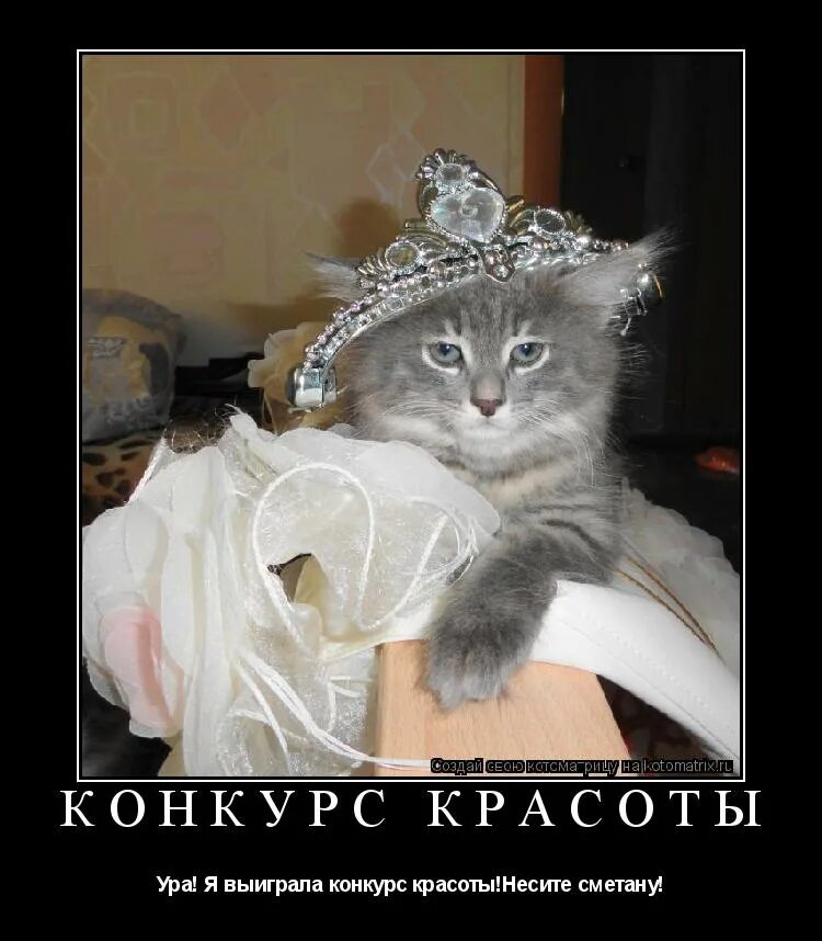 приятного аппетита ваше величество джейд дэвлин. красная футболка с надписью. его величество алексей надпись. ваша светлость прикольные картинки. его величество алексей картинка.