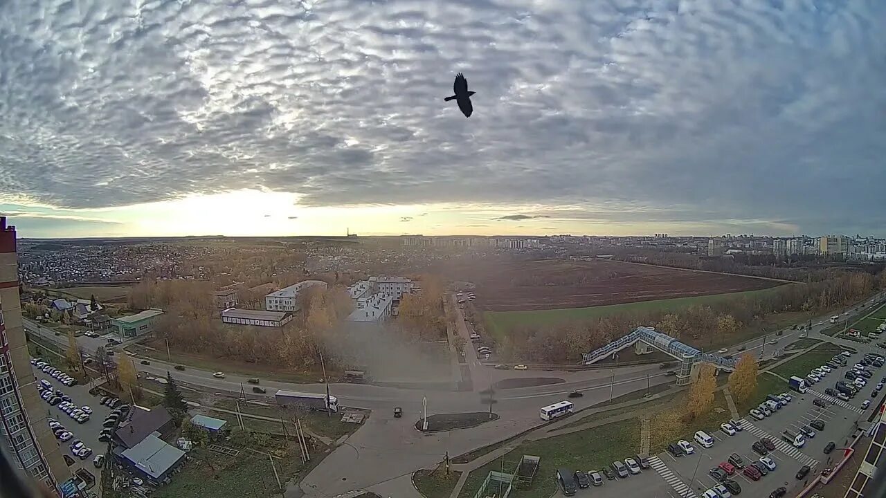 За прошедшие выходные дни, с 28 по 30 января 2022 года, на территории Кирова про