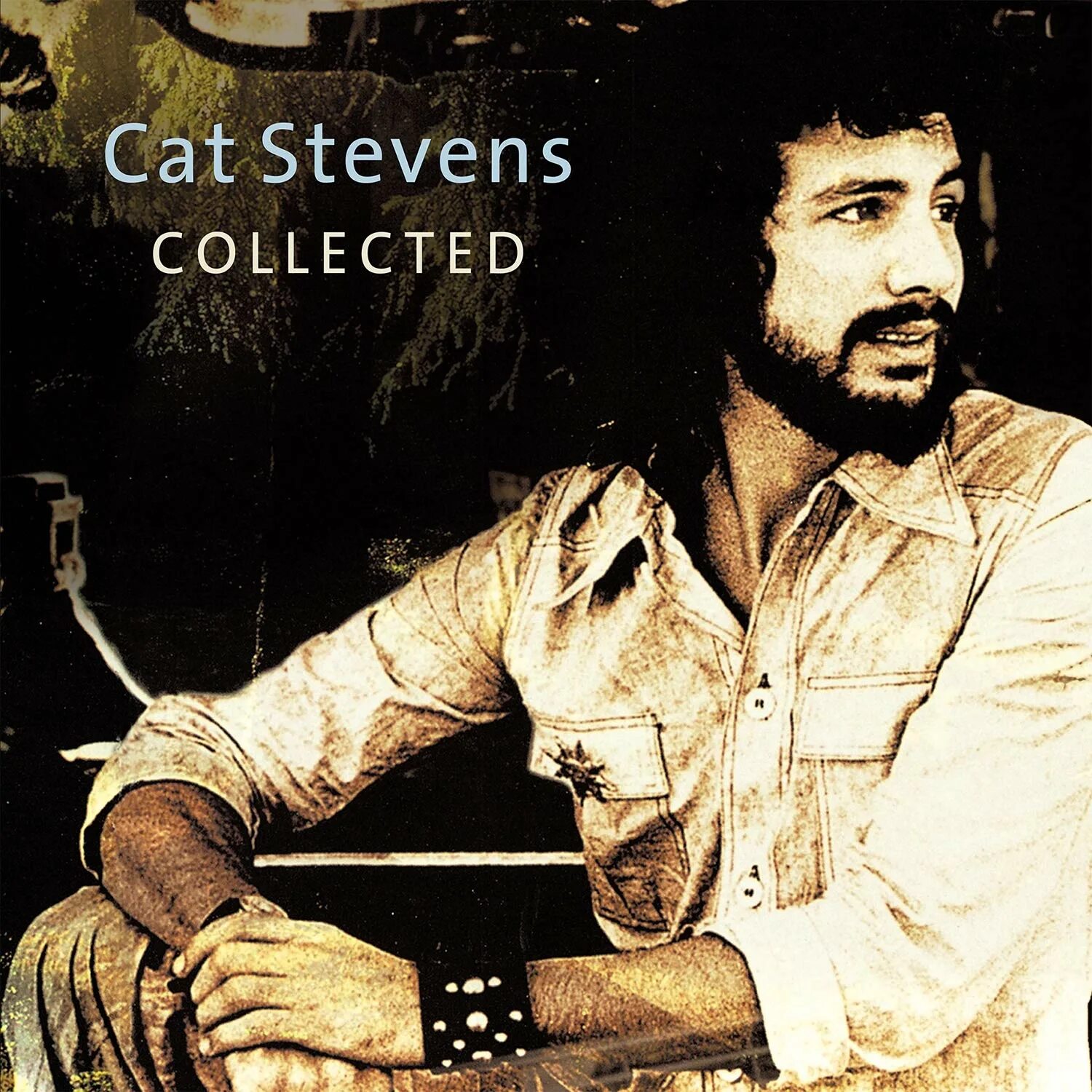 Steve cat. Кэт стивенс. cat stevens. father and son cat stevens. cat stevens lady d&#039;arbanville фото.
