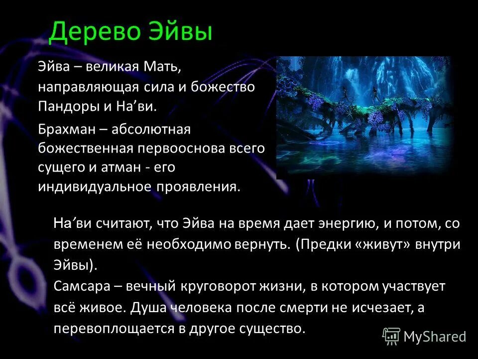 Воля первооснова всего сущего. Первооснова всего сущего. эйва имя. великая мать эйва.