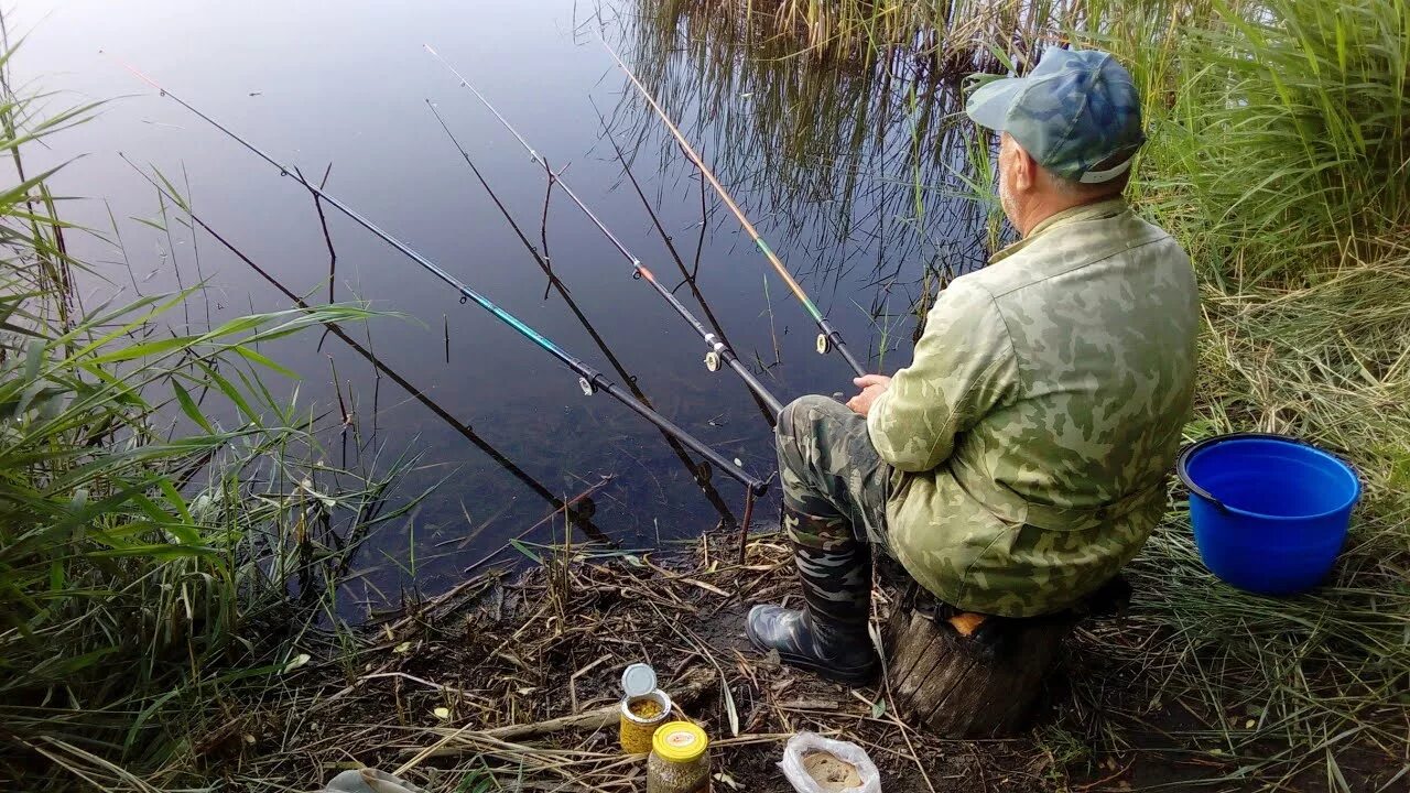 Рыбалка на карася на поплавочную удочку. Удочка в камышах. Рыба в камышах. Рыбалка на пруду на поплавок. Пруд улов