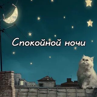 Радио спокойной ночи