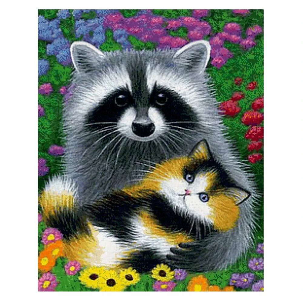 Кот лайк и енотиш. Енот и кот. енот и кошка. енот с котенком. енот с цветком.