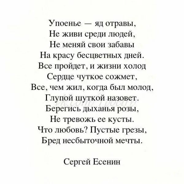 Есенин розу белую с черной жабой. Стих есенина мне. Стихотворение есенина упоенье яд отравы. Есенин с. Есенин стих про розы.