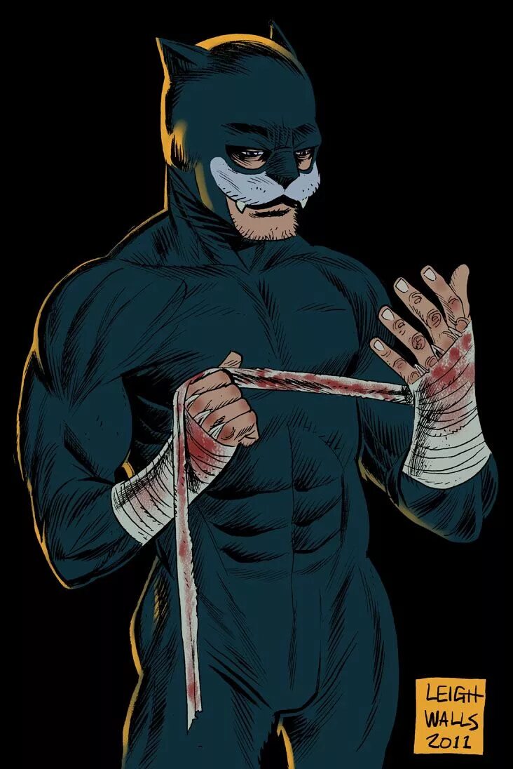 Коты супергерои. Кот супермен картинки. Тед грант dc. Дикий кот dc comics. Классные аватарки.