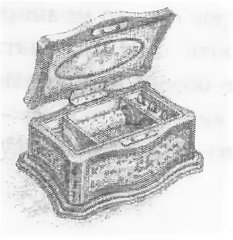 Amazon.com: Russian Box