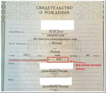 Как правильно указать серию свидетельства