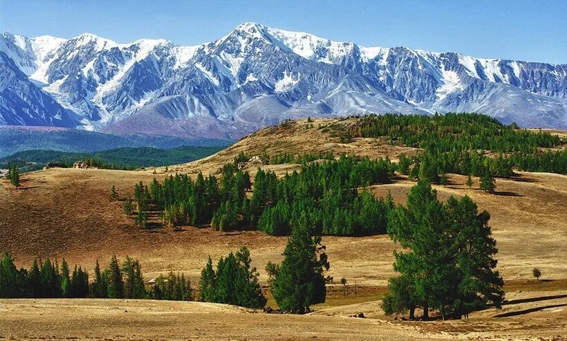 Степи монголии. Зуунэхараа монголия. Климат монголии. Природные зоны и их особенности монголии. Сельскохозяйственная карта монголии.
