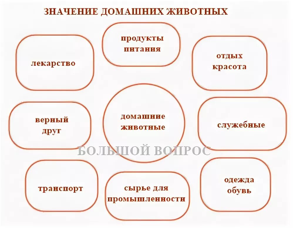 Значение животных для человека таблица Значение диких животных и их охрана