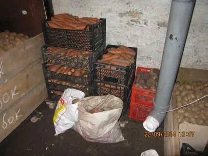 Влажность в погребе для хранения овощей