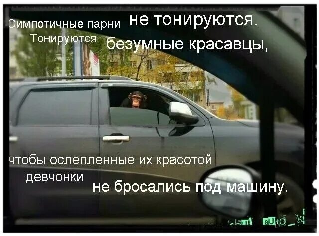 Закон о тонировке передних боковых стекол