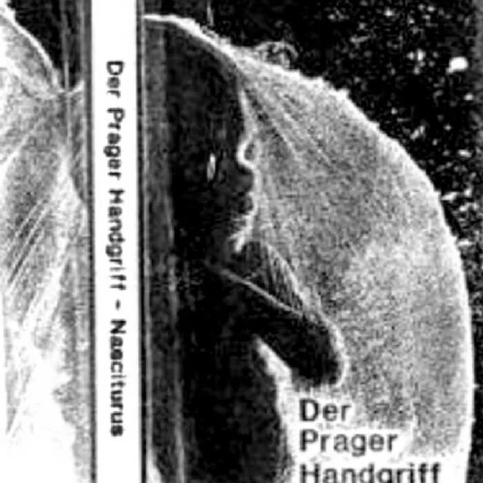 Гомункулус методика. Право насцитуруса. Насцитурус это. Особенности раздела наследственного имущества. Беременность.