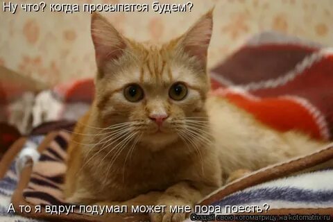Опять поймал