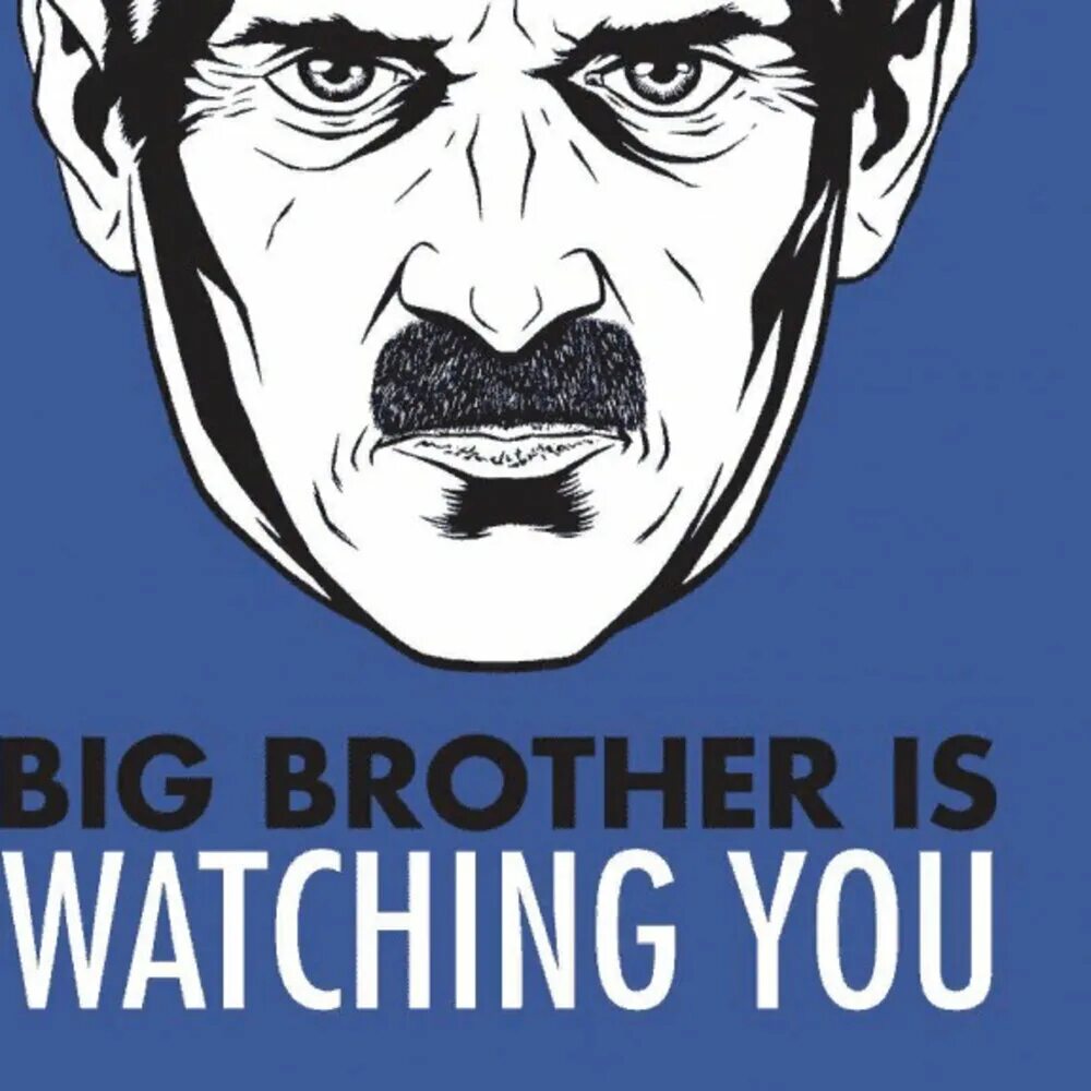 My brother watches tv. Большой брат плакат. Большой брат. Big brother is watching you плакат. Большой брат следит за тобой.