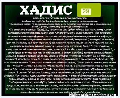 Исламский сонник кошка