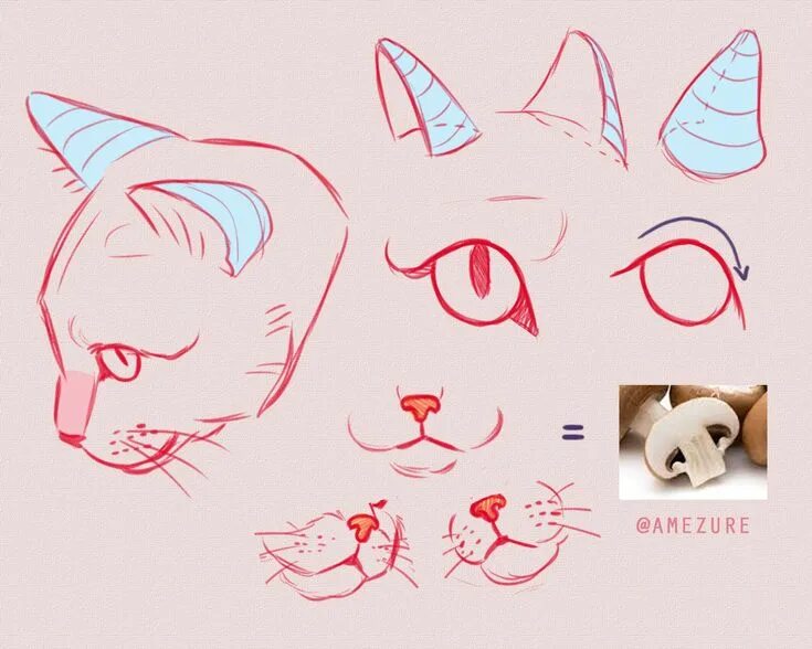 Cats tutorials