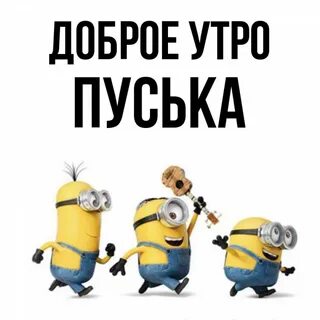 Держи буську