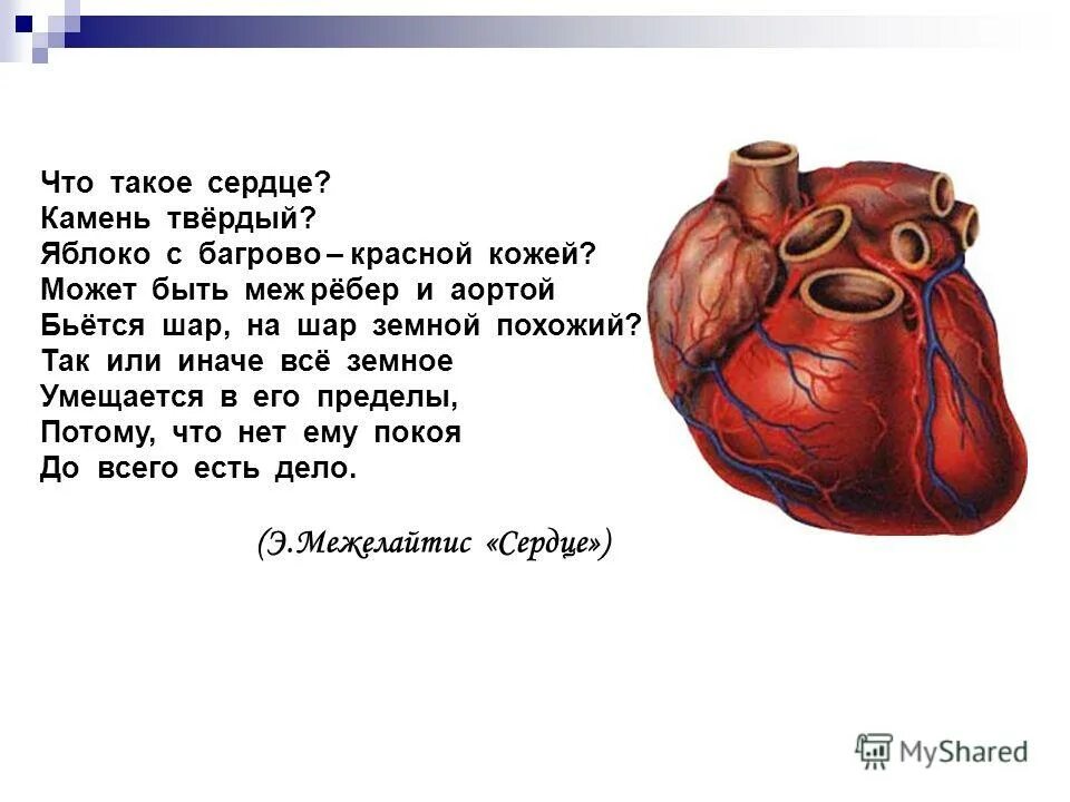 А на сердце твердый камень я слушать. Каменное сердце чернушка. А на сердце твердый камень я слушать. Камень на сердце синоним. А на сердце твердый камень я слушать.