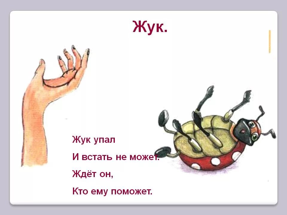 шалашик или шалашек правило. стих по букву ж. сочетание букв чн. жучок правильное написание. значение слова завеса.