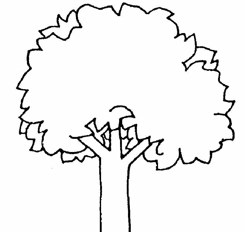 Контур дерева для детей. Контур дерева для аппликации. Силуэты деревьев для рисования. Дерево для распечатки. Дерево на 4 листа а4