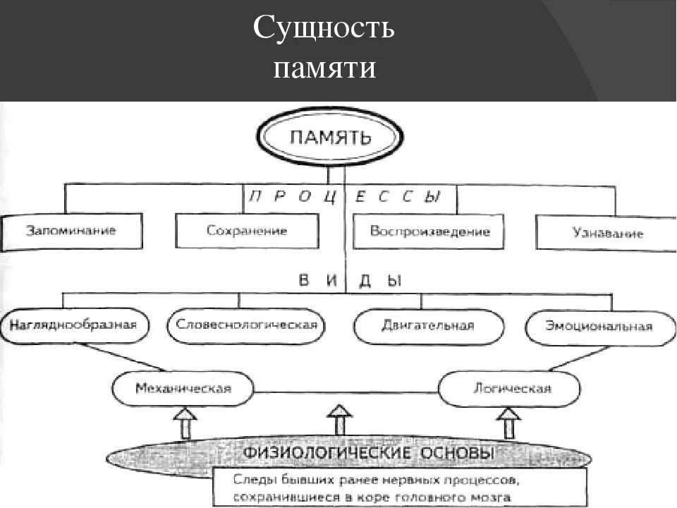 Основные понятия памяти. Схема памяти в психологии. Сущность процесса памяти в психологии. Основные процессы памяти схема. Схема виды памяти психология.